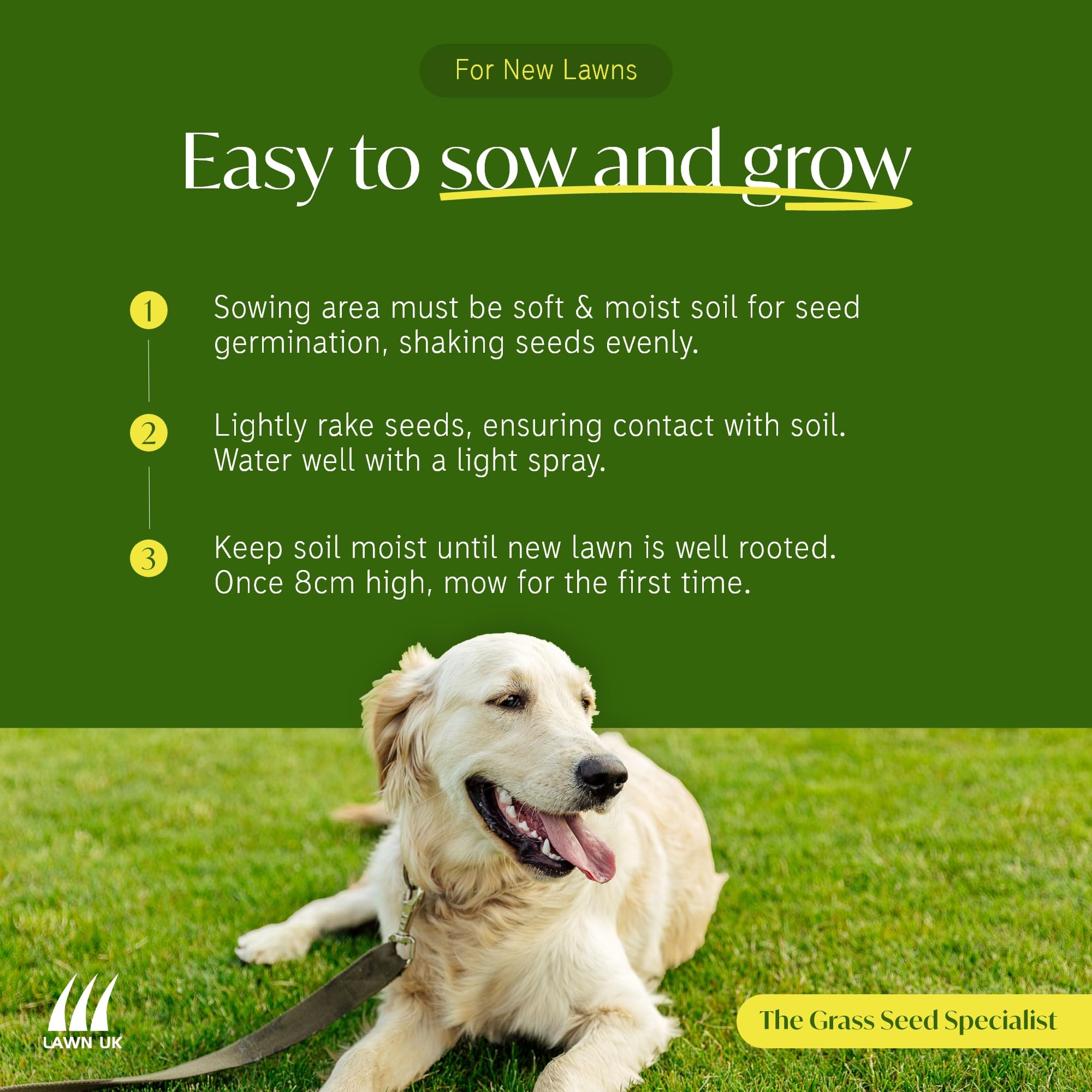 Lawn UK Hardwearing Grass Seed - Sprogs & Dogs Grass Seeds Fast Growing - 500g up to 15sqm Coverage - Ideal for Family Lawns - Super Durable Perfect for Children & Pets