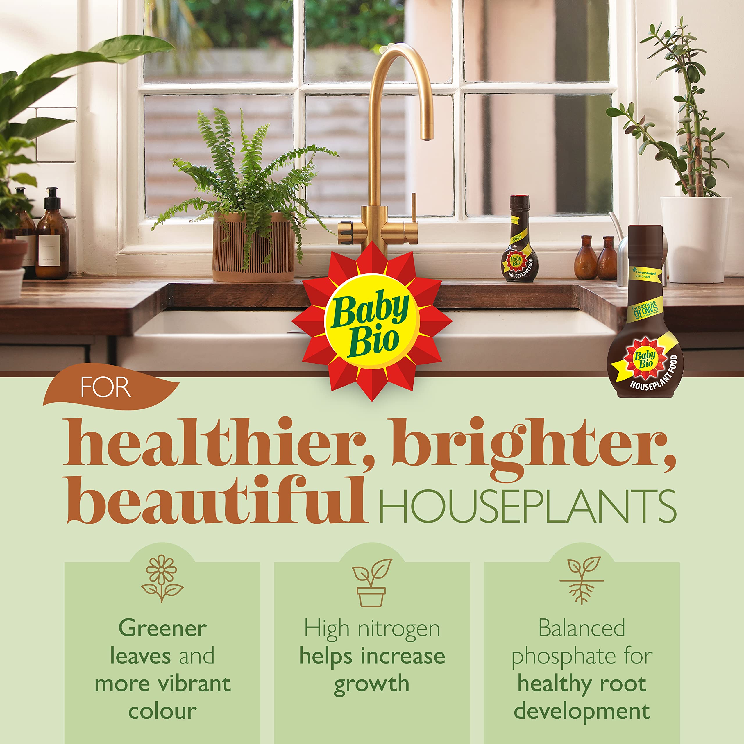 Baby Bio Citrus Food, 175ml - Citrus Plant Food for Healthy Growth and High Potassium for Better Fruit Yield - Year Round Care Concentrate Fertiliser - Fruit Tree Aid Spray