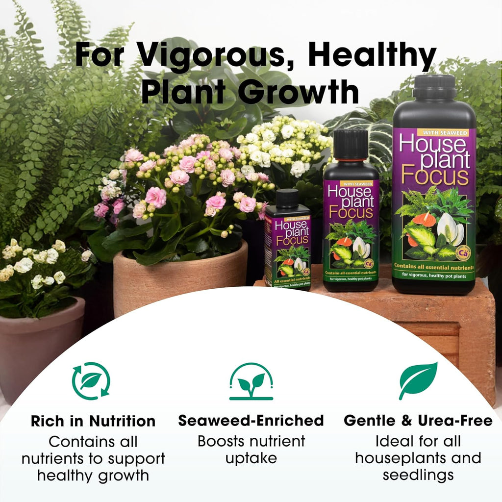Houseplant Focus Concentrated Liquid Fertiliser, 1 Litre - Growth Technology Fertiliser for Indoor Plants - Professional Grade House Plant Food Concentrate with Kelp Seaweed Extract - Makes 200L