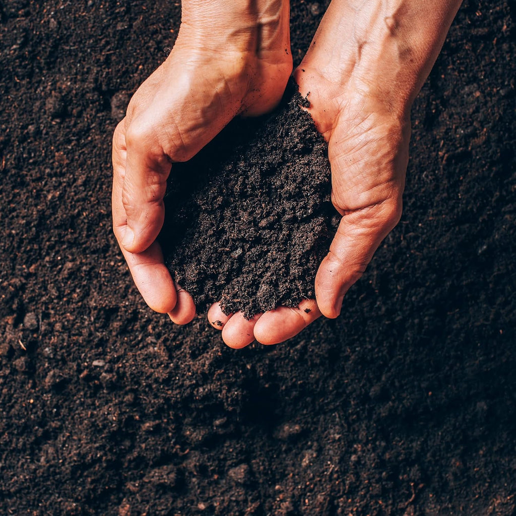 Multi Purpose Compost with added John Innes No. 2 – Pallet of 70 x 35L Bags – Kerbside Delivery Only