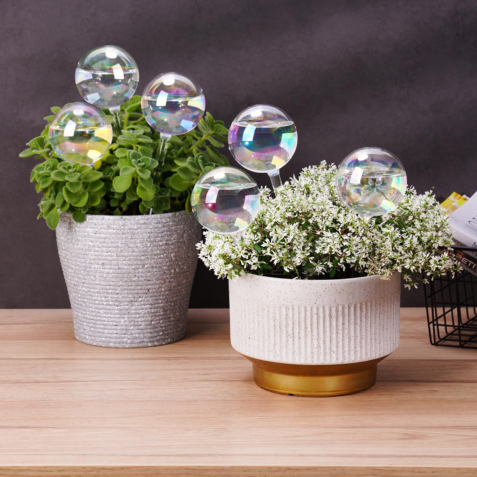 [2 PCS] Light Iridescent Rainbow Gradient Color Clear Glass Self-Watering System Spikes, Self Watering Globes, Self Watering Bulbs, Automatic Plant Waterer Bulbs
