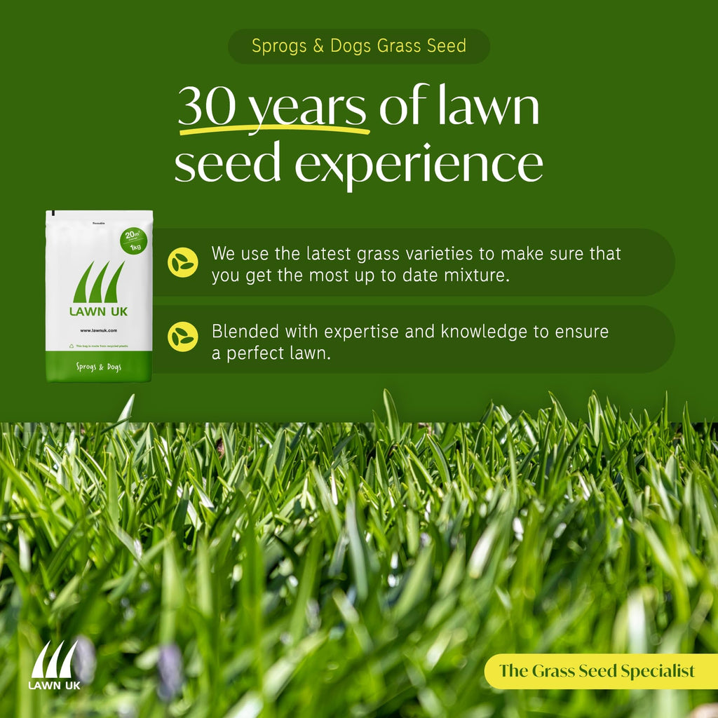 Lawn UK Hardwearing Grass Seed - Sprogs & Dogs Grass Seeds Fast Growing - 500g up to 15sqm Coverage - Ideal for Family Lawns - Super Durable Perfect for Children & Pets