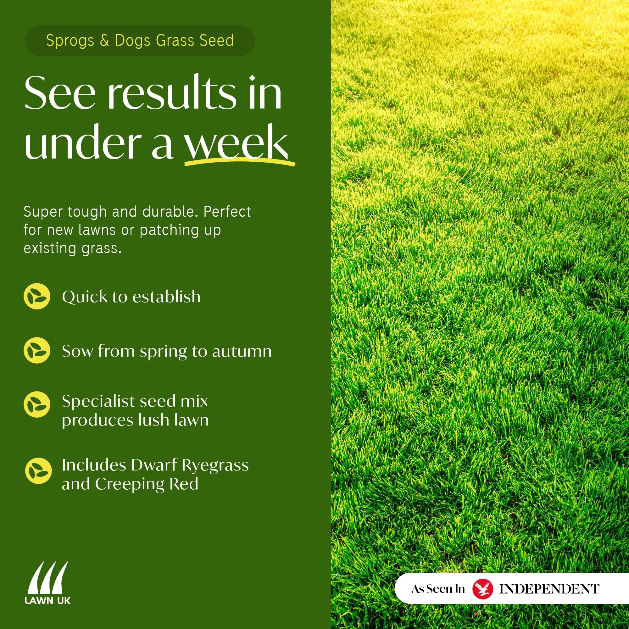 Lawn UK Hardwearing Grass Seed - Sprogs & Dogs Grass Seeds Fast Growing - 500g up to 15sqm Coverage - Ideal for Family Lawns - Super Durable Perfect for Children & Pets