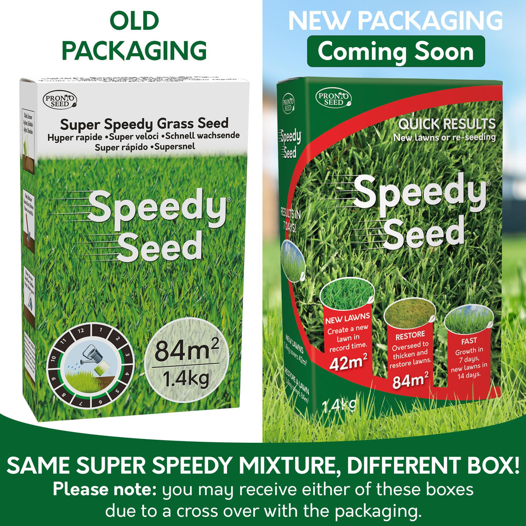 Pronto Seed Premium Grass Seed 1.4 kg - Fast Growing, Hard-Wearing - Covers 84m² for Lawns & Overseeding - DEFRA Approved & Tailored for UK Climate (1.4kg)