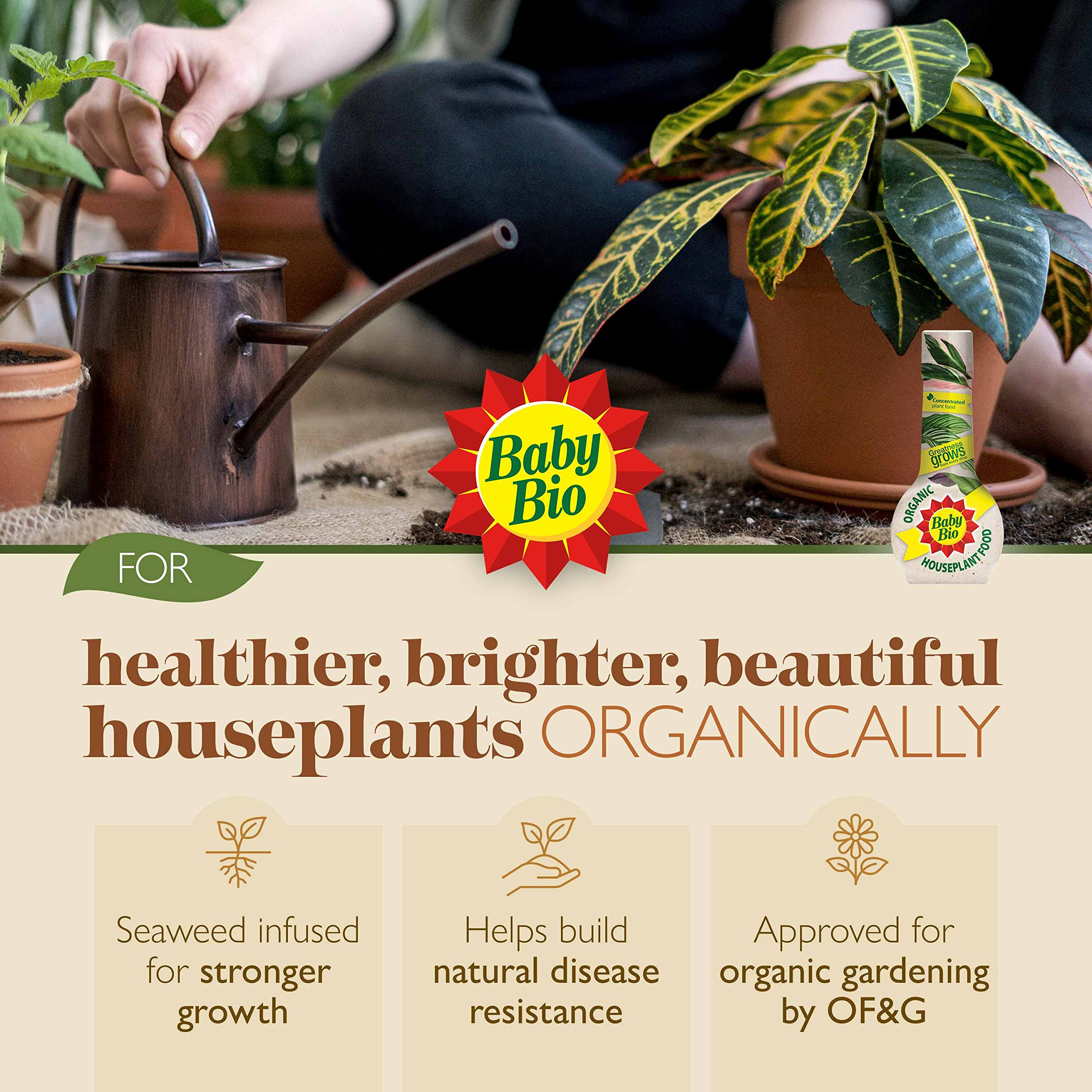 Baby Bio Citrus Food, 175ml - Citrus Plant Food for Healthy Growth and High Potassium for Better Fruit Yield - Year Round Care Concentrate Fertiliser - Fruit Tree Aid Spray